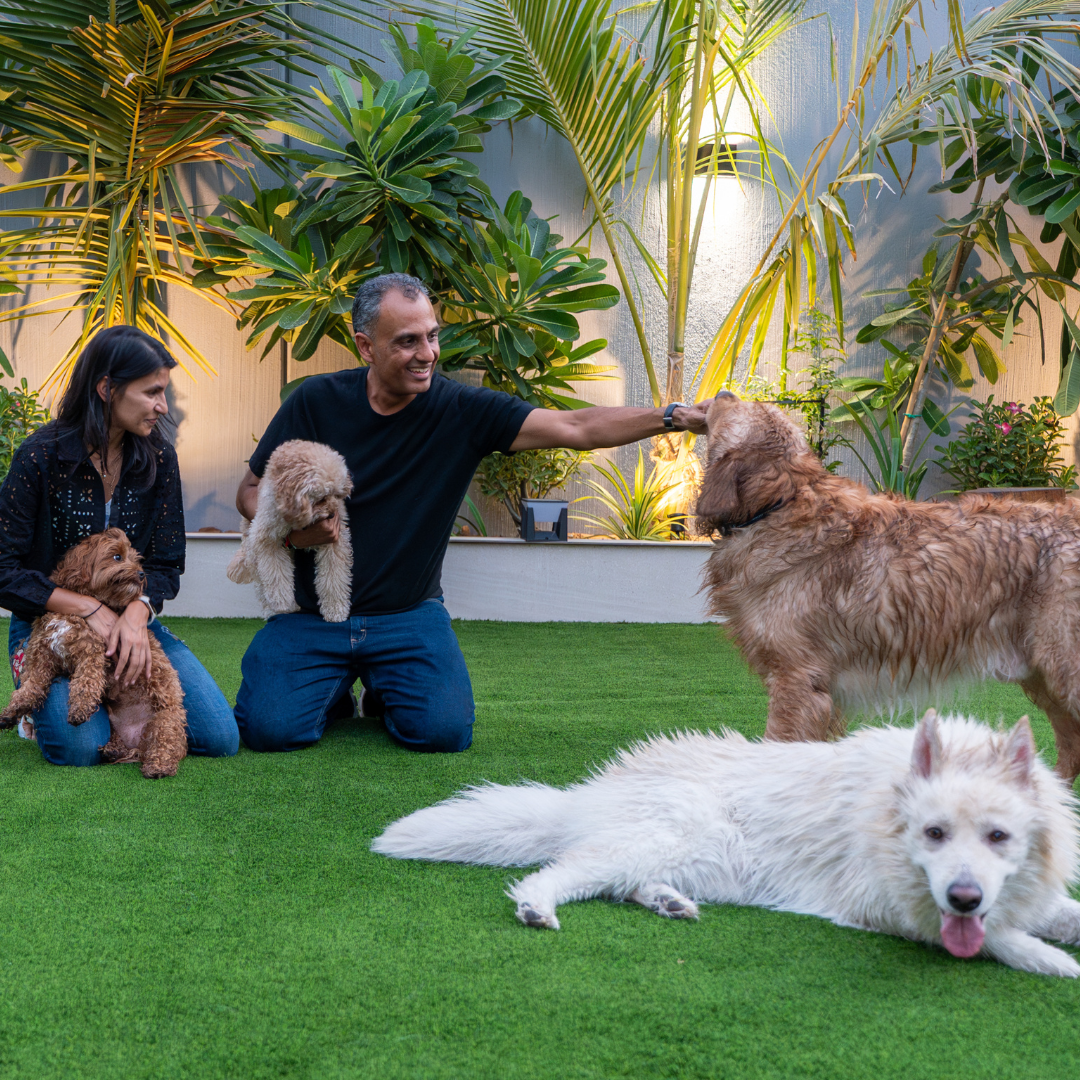 Photo of Vishaal, Simba, Kiko, Raja & Leo