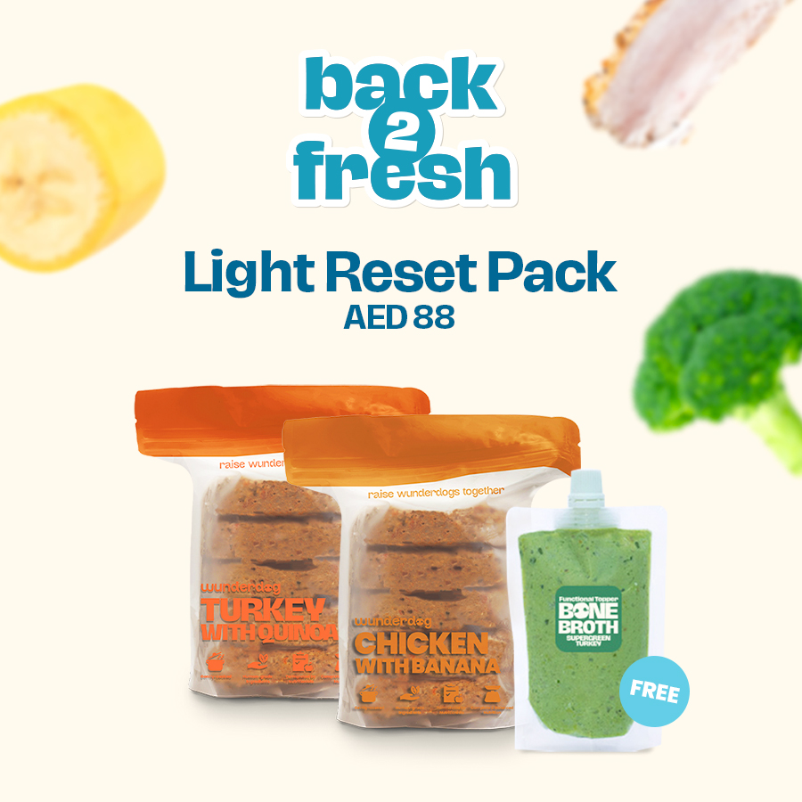 Photo of the product Light Reset Pack