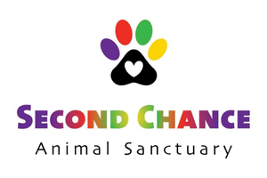 Photo of the product Second Chance Animal Sanctuary