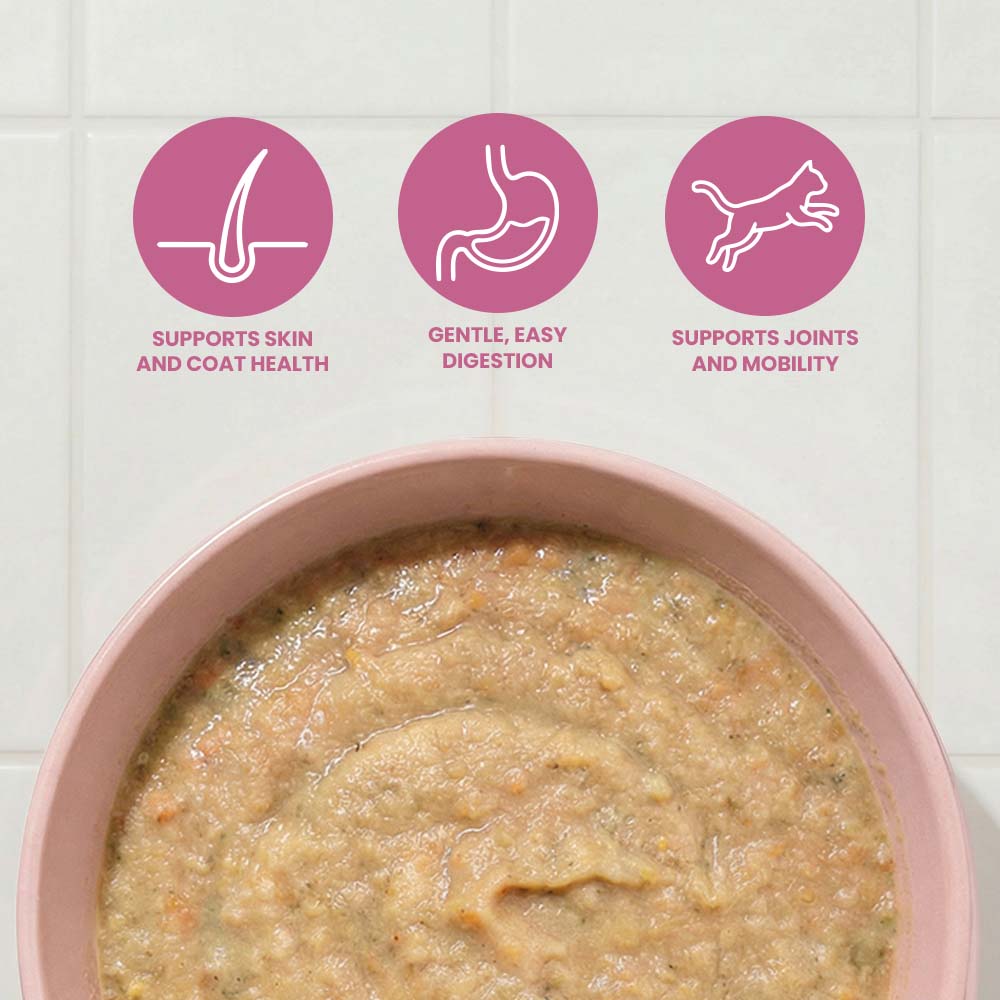 Photo of the product Chicken Pâté