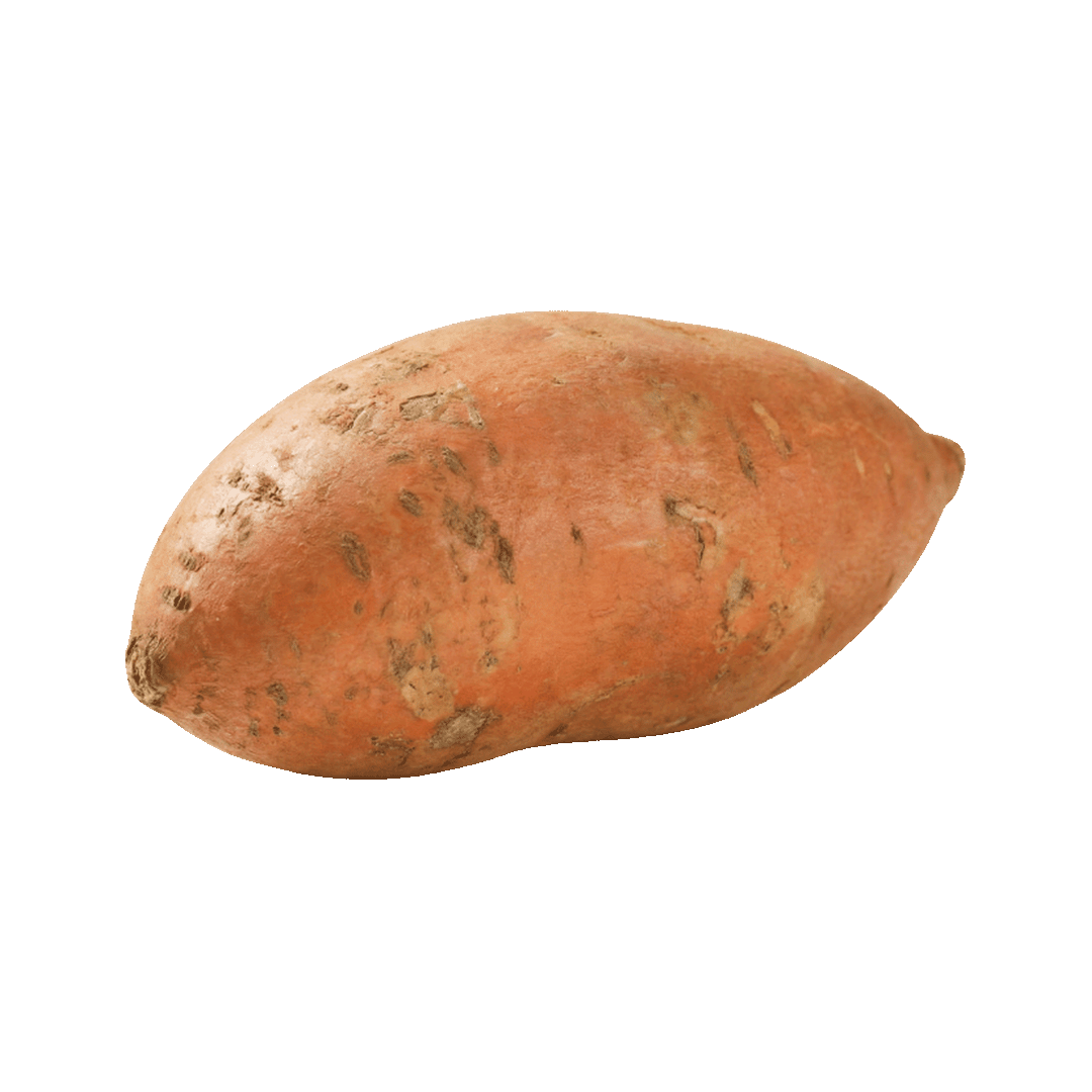 Sweet Potato