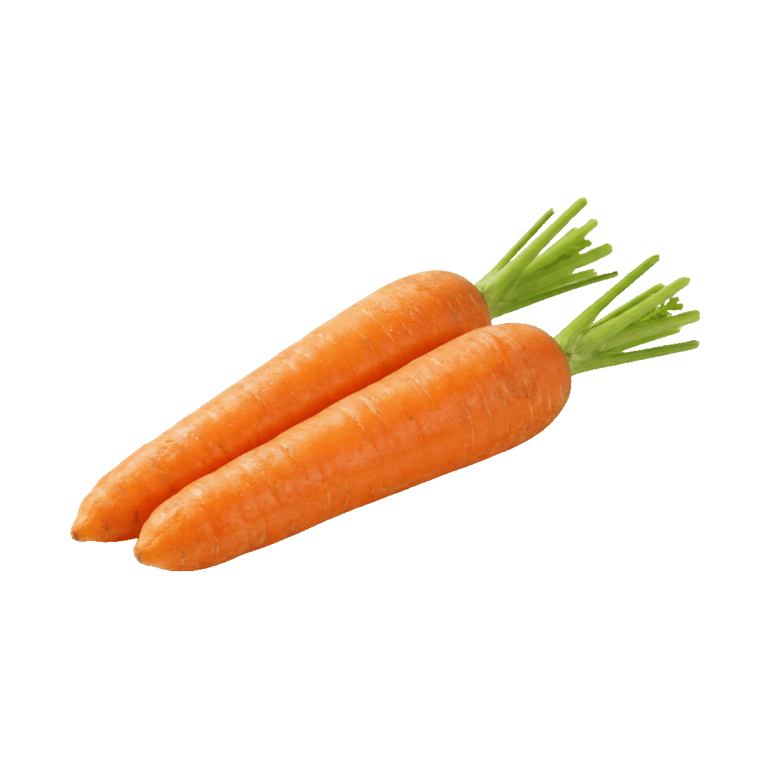 Carrot