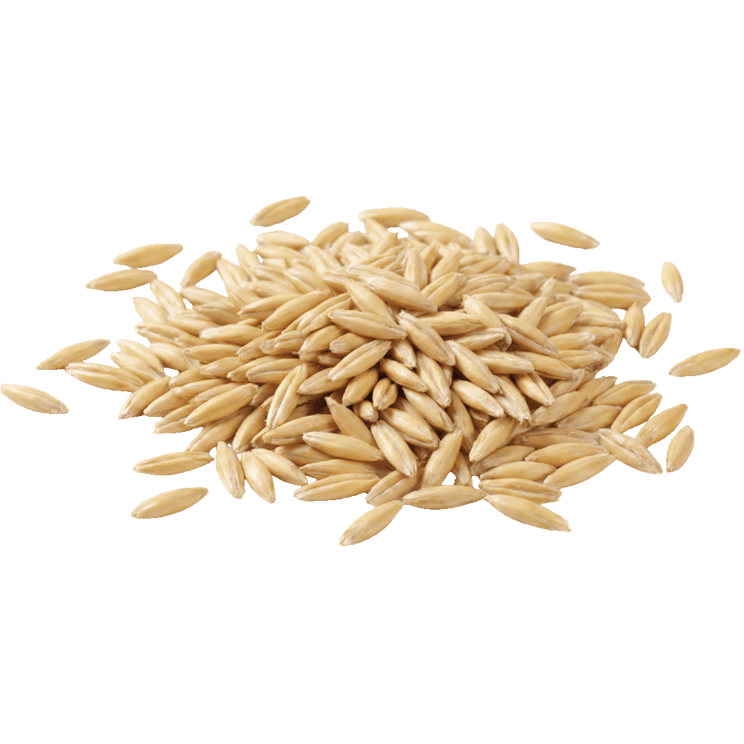 Oatmeal