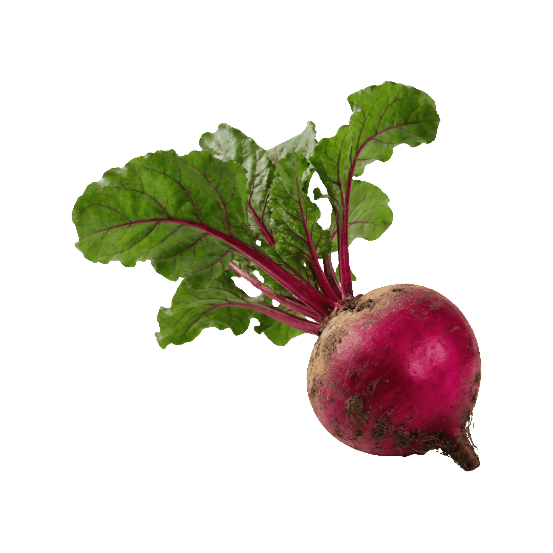 Beetroot