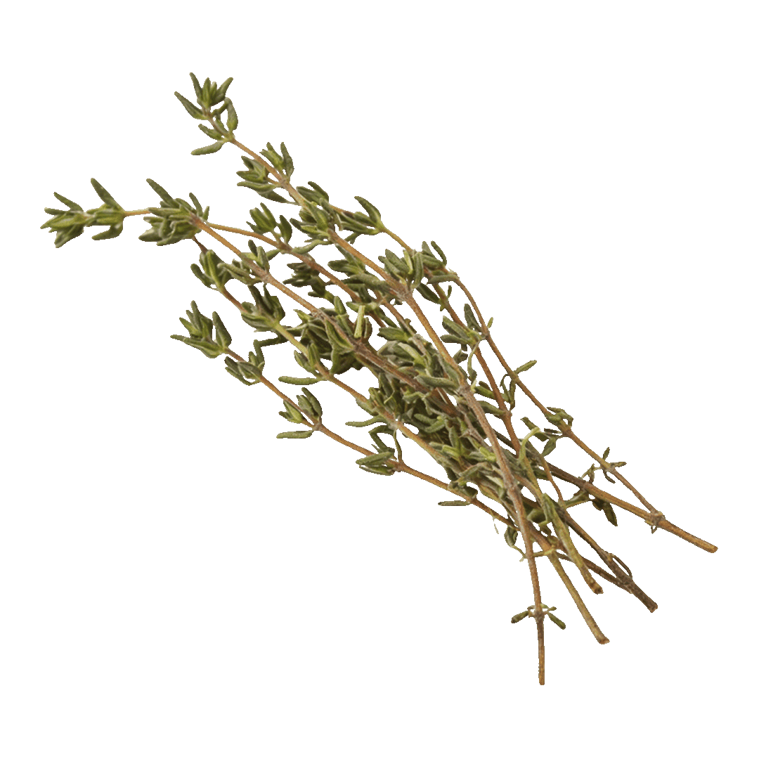 Thyme