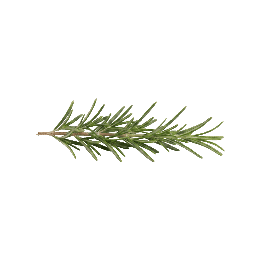 Rosemary