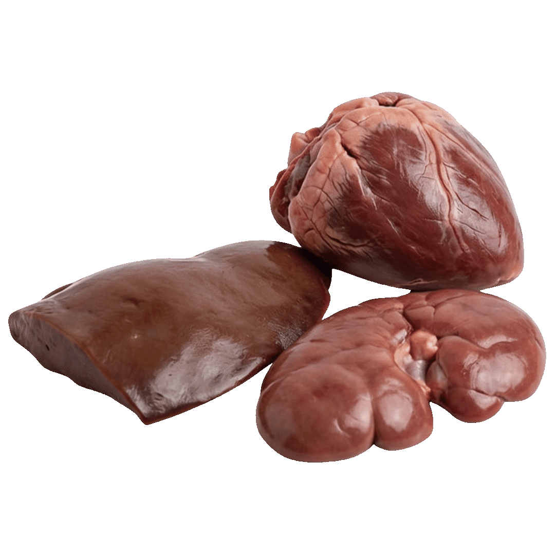 Camel Organs (Liver, Heart, Kidney)