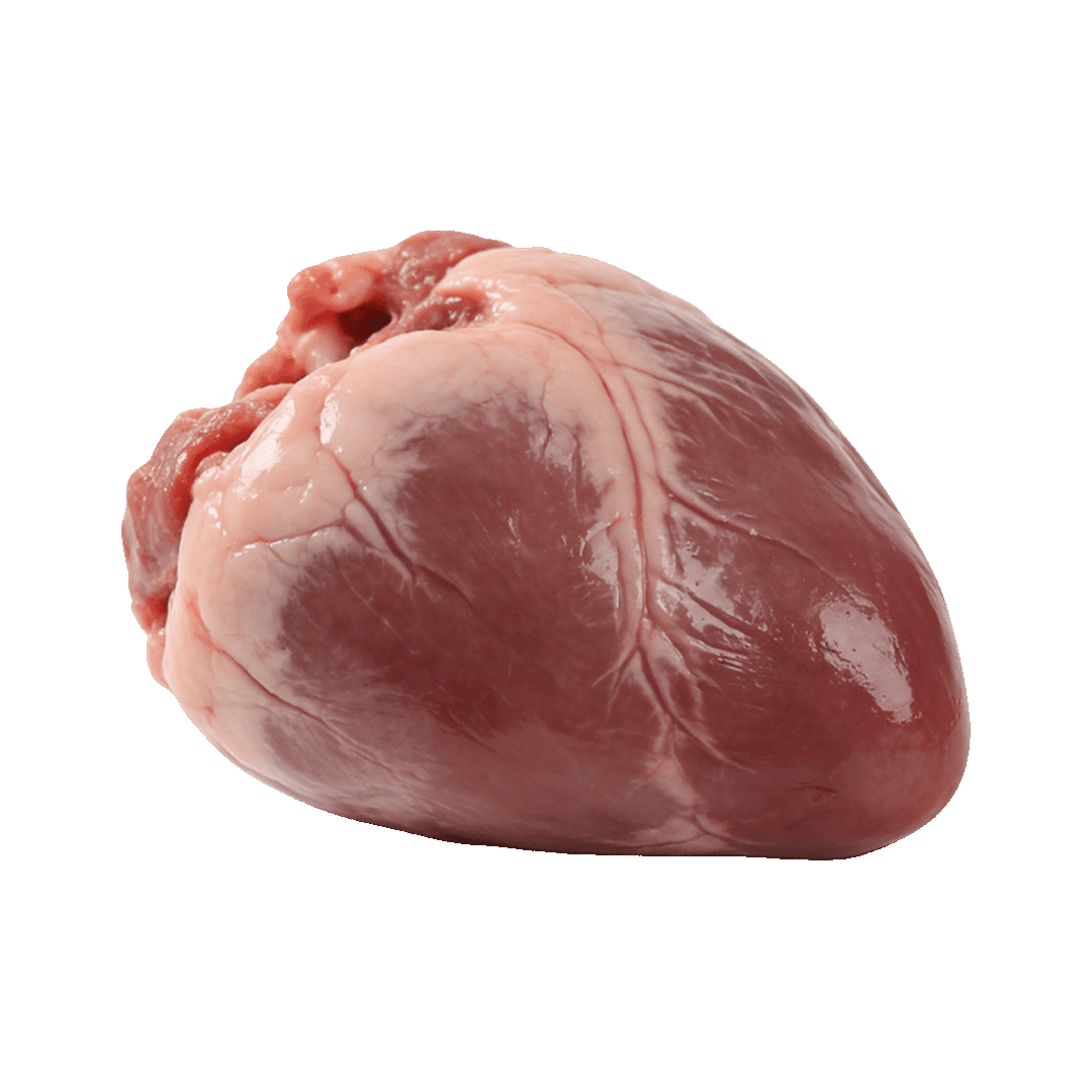 Lamb Heart