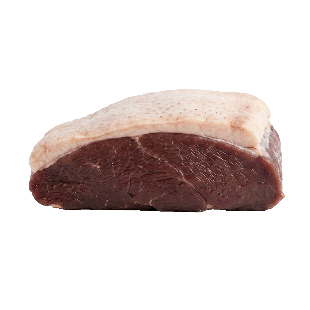 Duck Meat