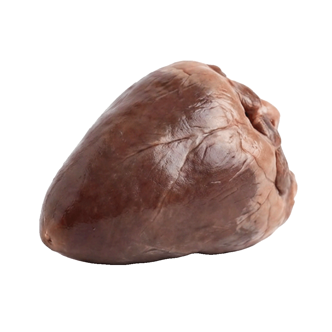 Duck Heart