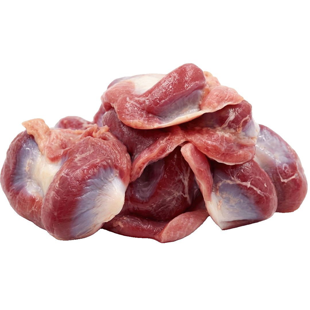 Duck Gizzard