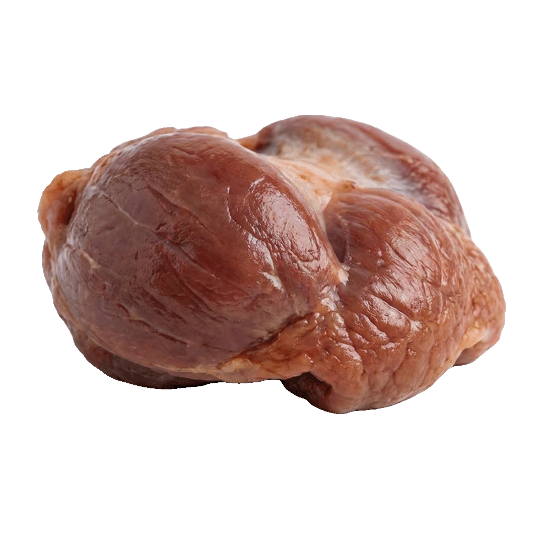 Chicken Gizzard