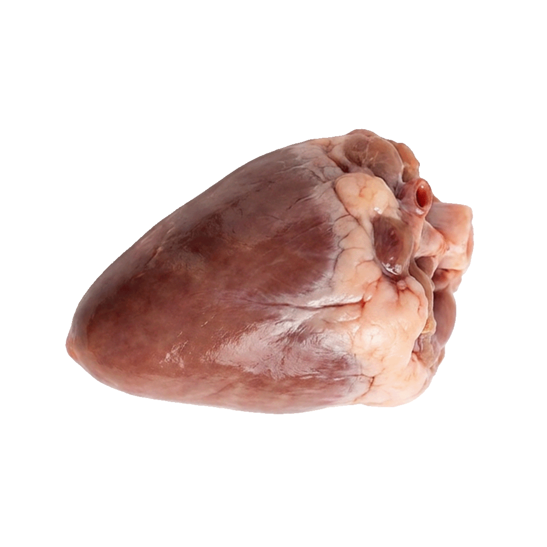 Chicken Heart
