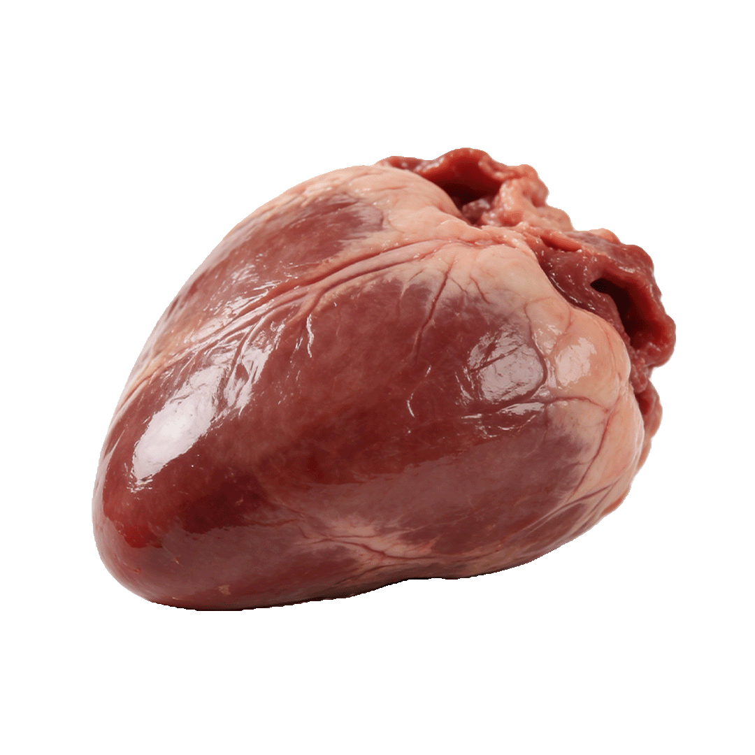 Beef Heart