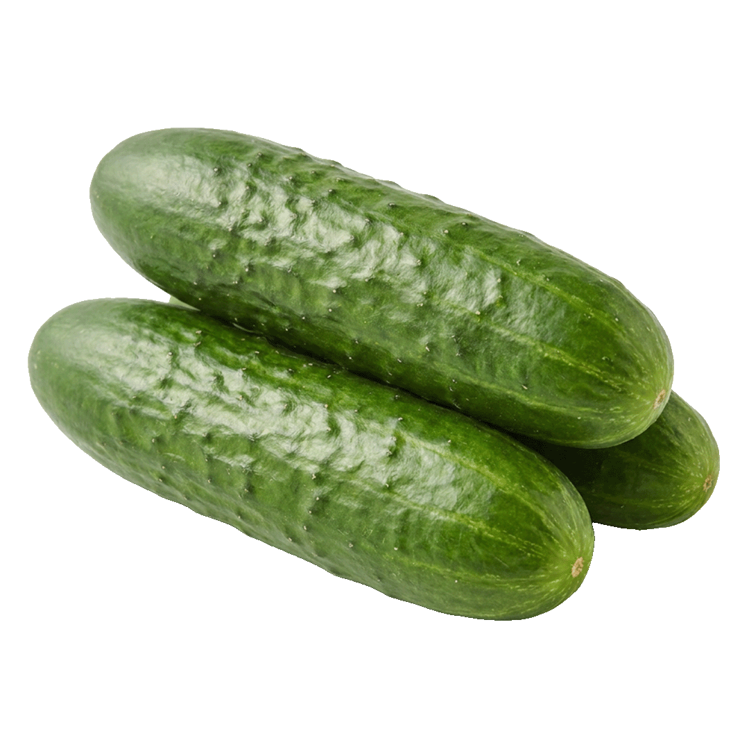 Cucumber