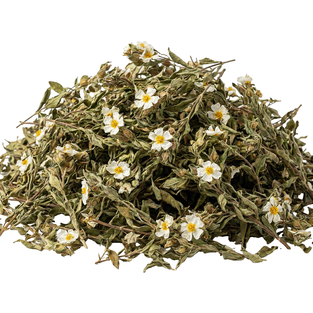 Rockrose